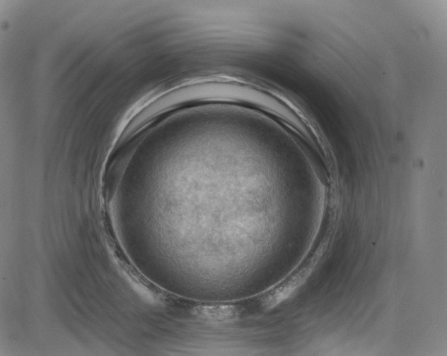 X0000085260858200703091322