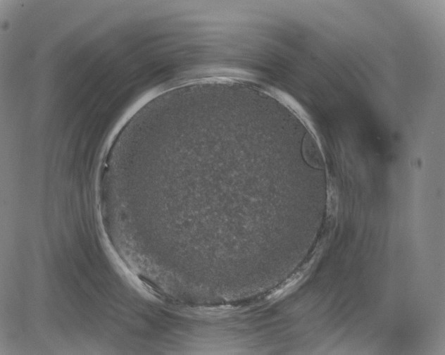 X0000085260859200703091322