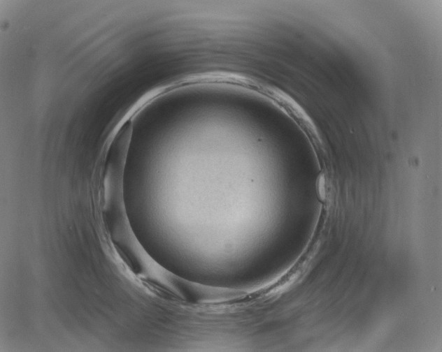 X0000085260860200703091322