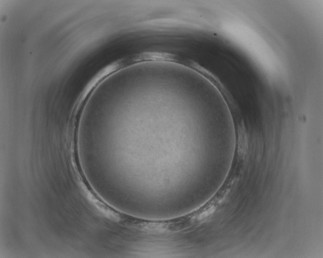 X0000085260861200703091322