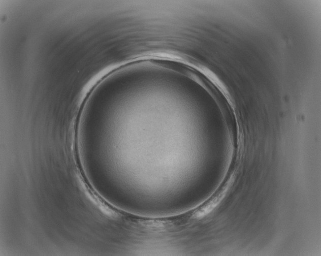 X0000085260862200703091322