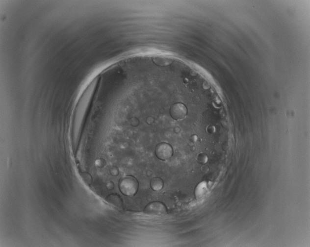 X0000085260863200703091322