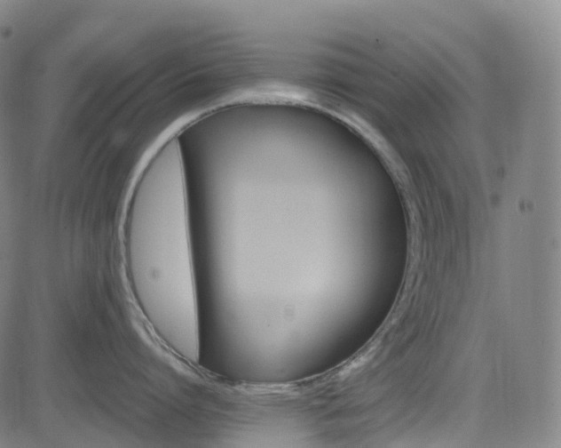 X0000085260864200703091322