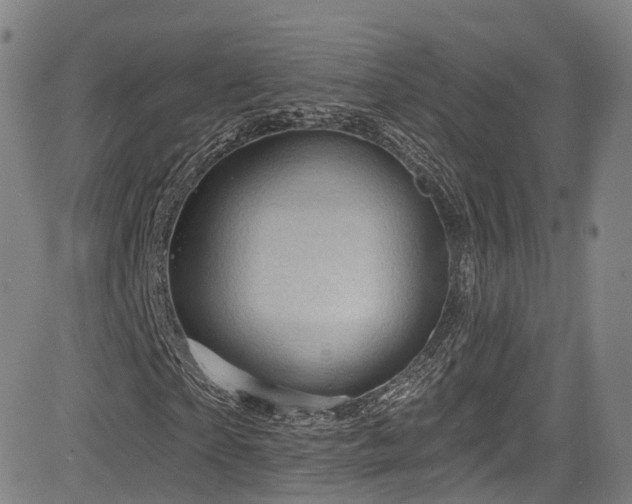 X0000085260865200703091321