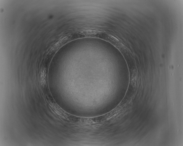 X0000085260866200703091321