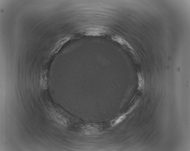 X0000085260868200703091321