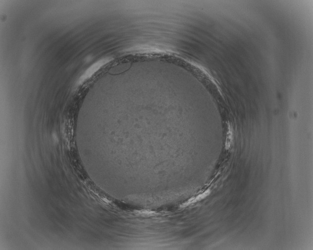 X0000085260871200703091321