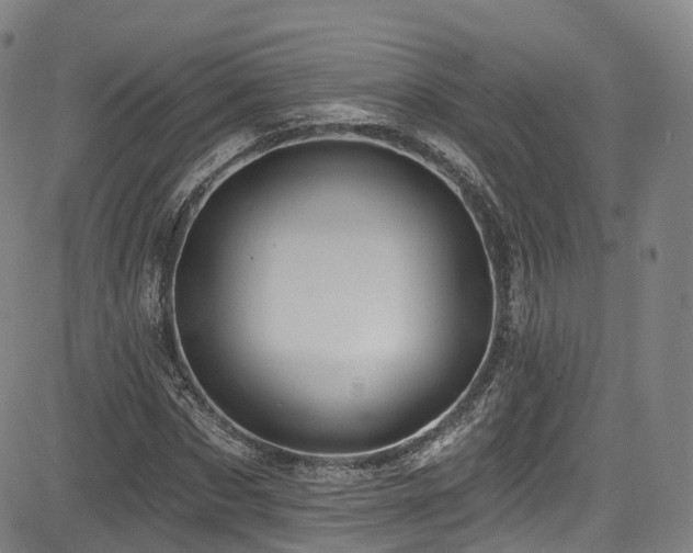 X0000085260873200703091321