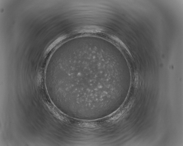 X0000085260874200703091321