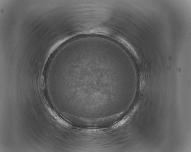 X0000085260876200703091321