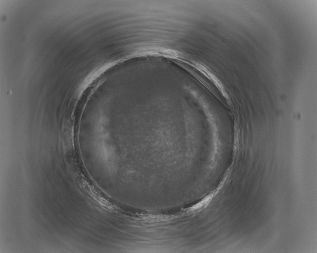 X0000085260877200703091321