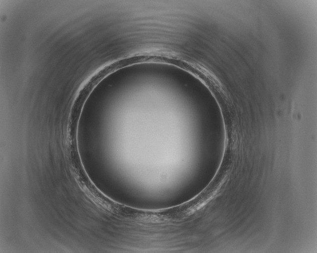 X0000085260880200703091321