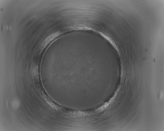 X0000085260881200703091321