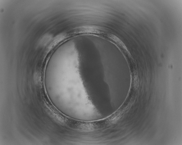 X0000085260882200703091321