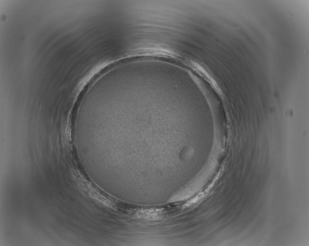 X0000085260883200703091321