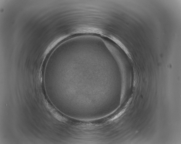 X0000085260885200703091321