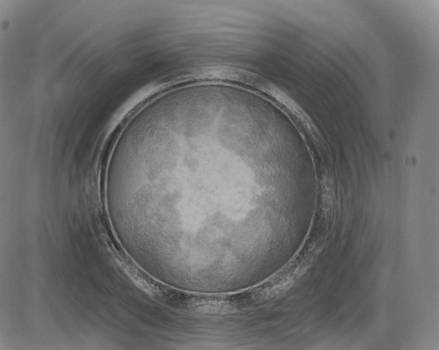 X0000085260886200703091321