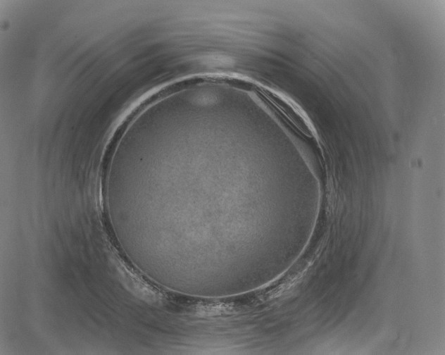 X0000085260887200703091321