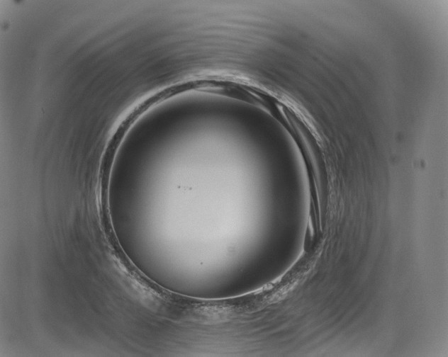 X0000085260888200703091321