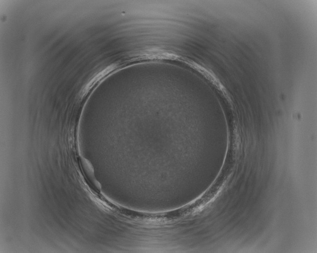 X0000085260889200703091321