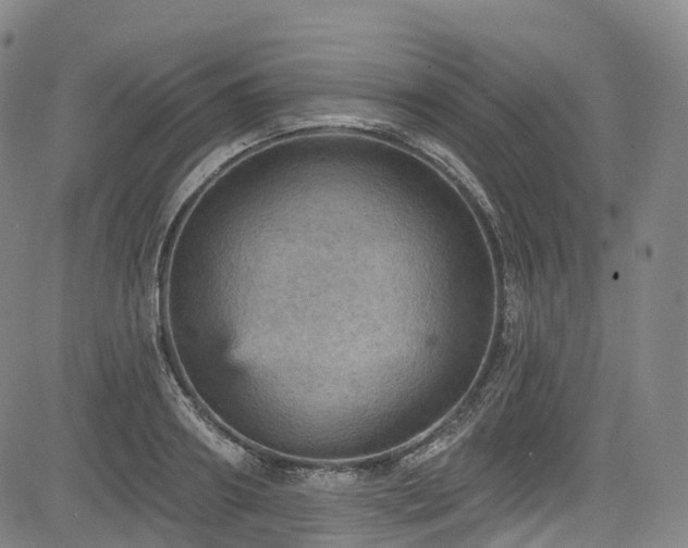 X0000085260890200703091321