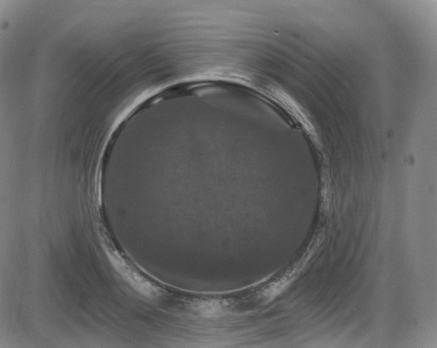 X0000085260892200703091321