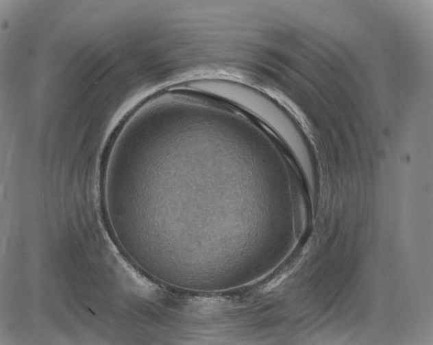 X0000085260894200703091320