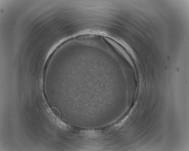 X0000085260896200703091320