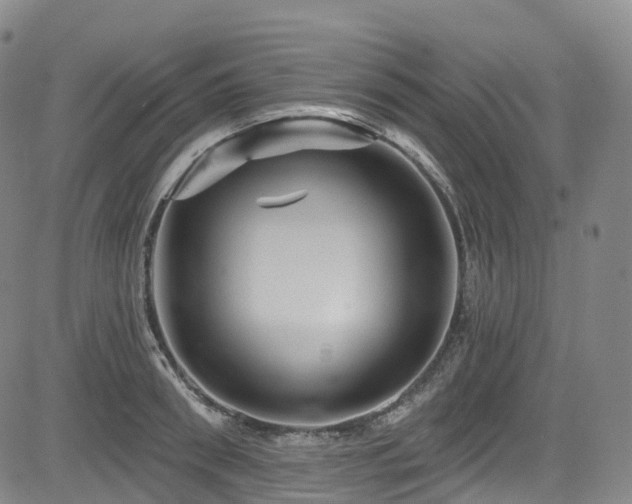 X0000085260898200703091320