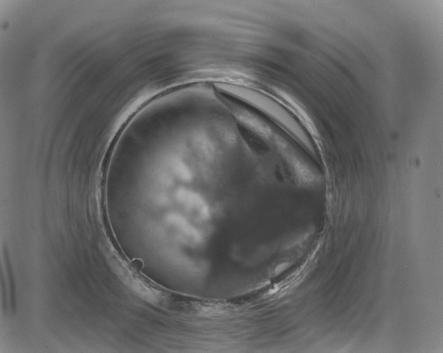 X0000085260899200703091320