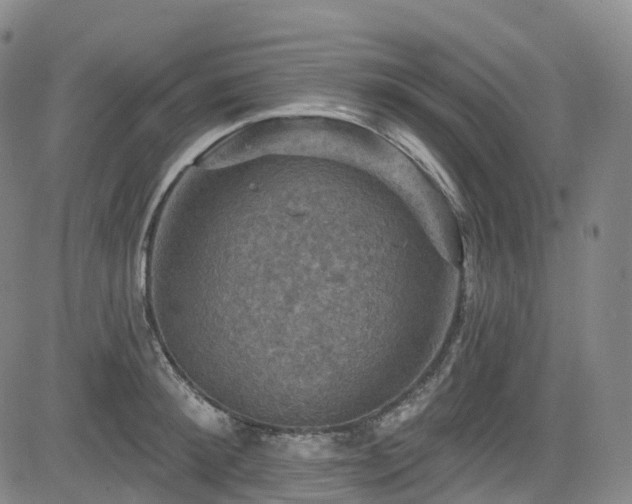 X0000085260900200703091320