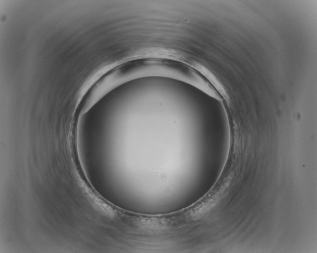 X0000085260901200703091320