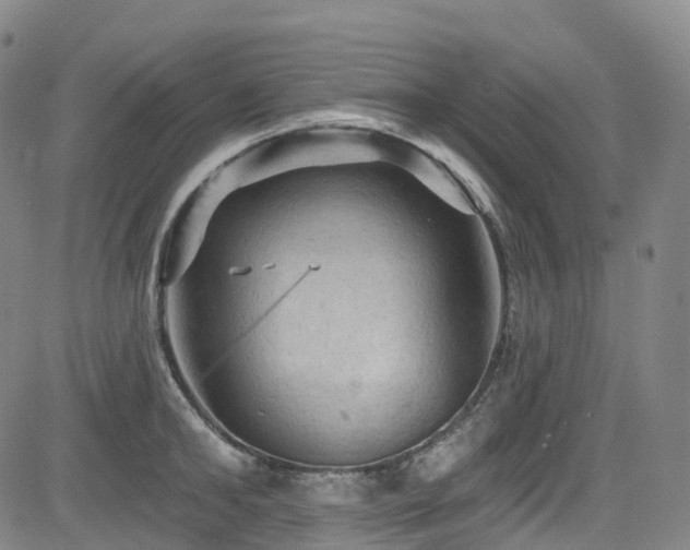 X0000085260902200703091320