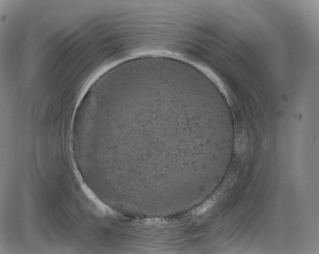 X0000085260903200703091320