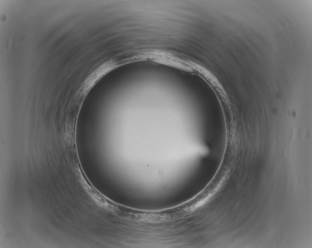 X0000085260905200703091320