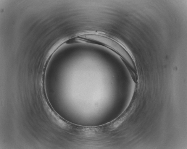 X0000085260906200703091320