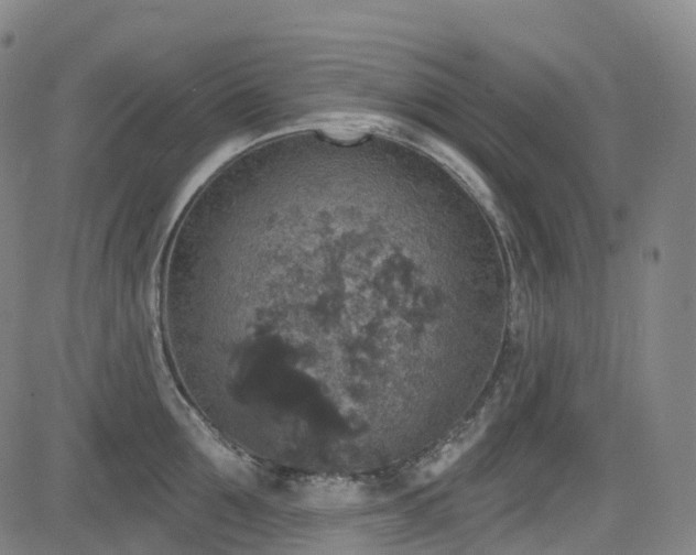 X0000085260907200703091320