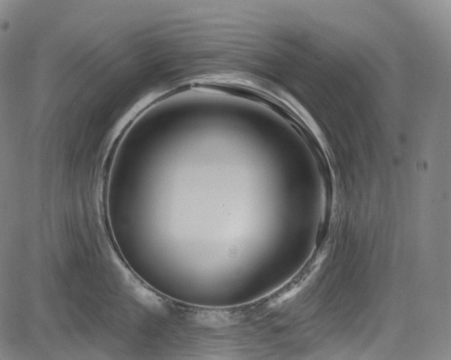 X0000085260909200703091320