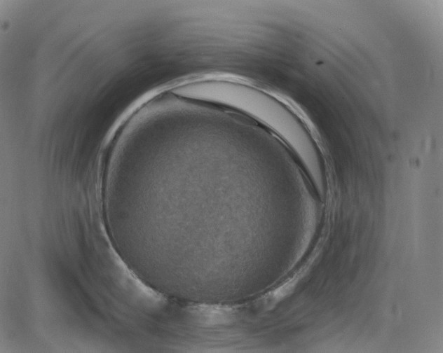 X0000085260910200703091320