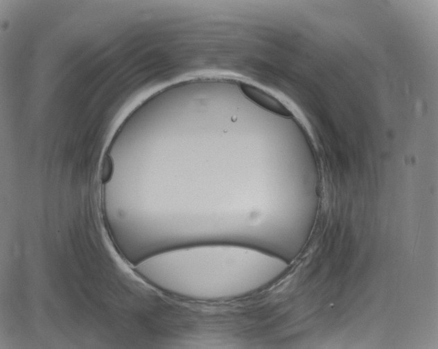 X0000085260911200703091320