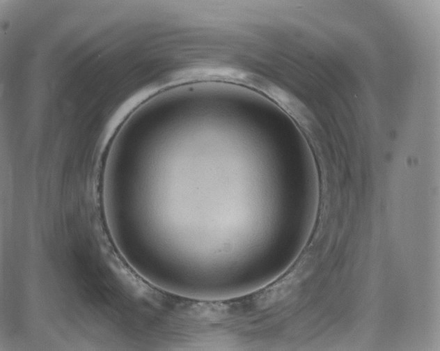 X0000085260912200703091320