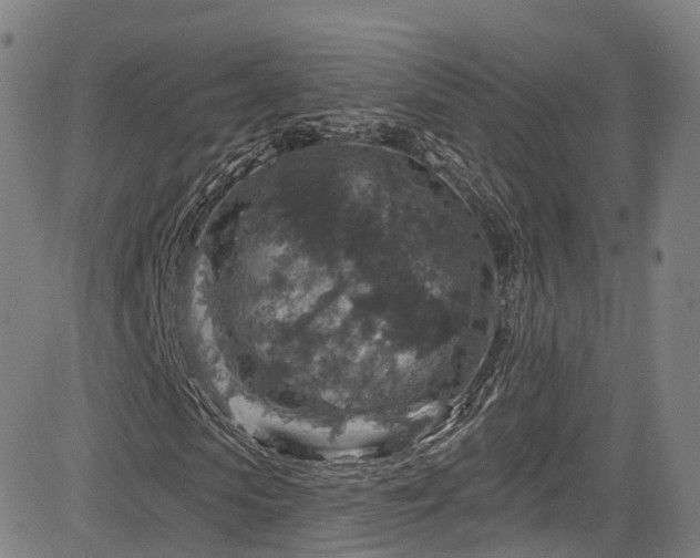 X0000085260913200703091319