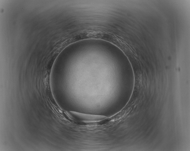 X0000085260914200703091319