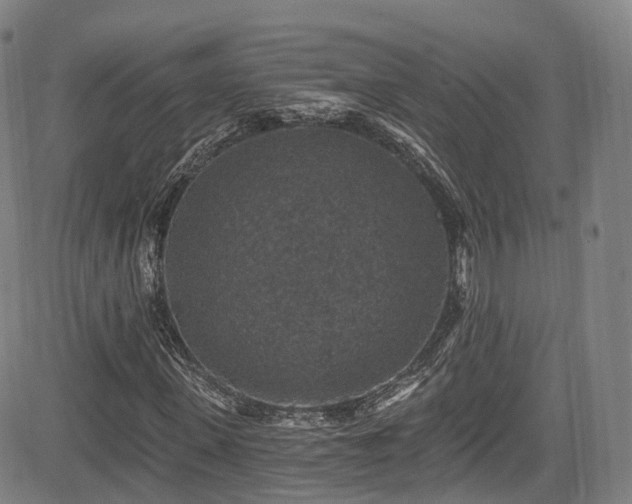 X0000085260915200703091319