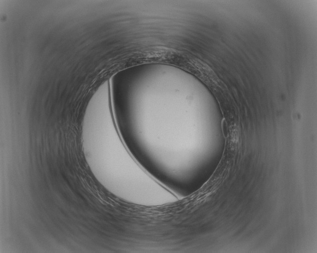 X0000085260916200703091319