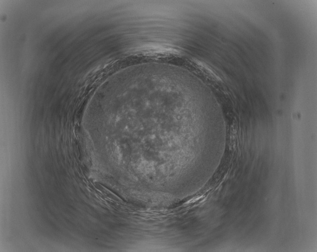 X0000085260917200703091319