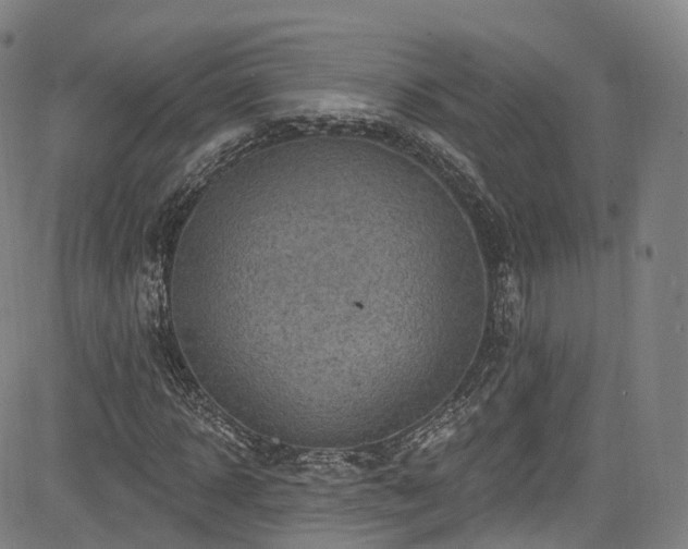 X0000085260918200703091319