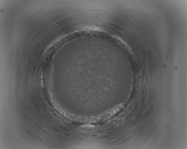 X0000085260919200703091319