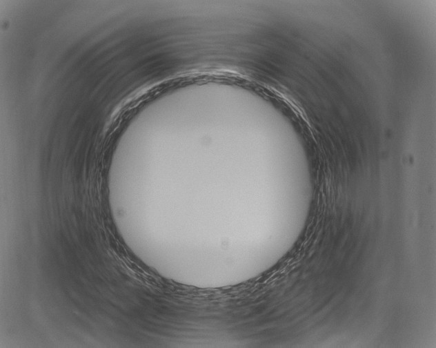 X0000085260920200703091319