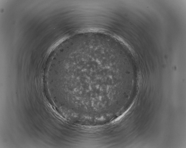 X0000085260921200703091320